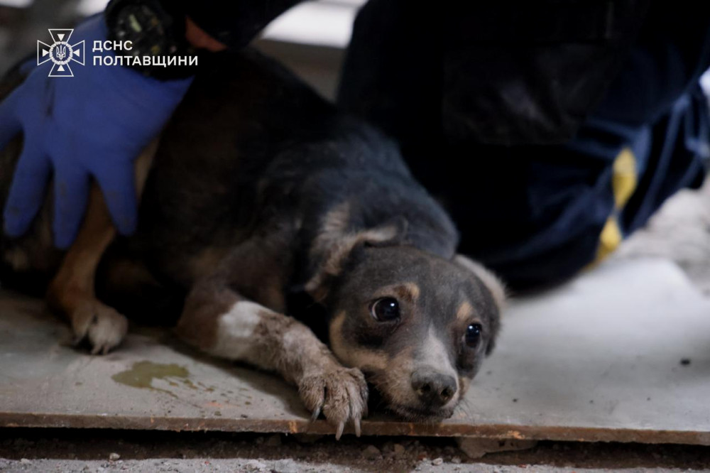 1751 image for slide