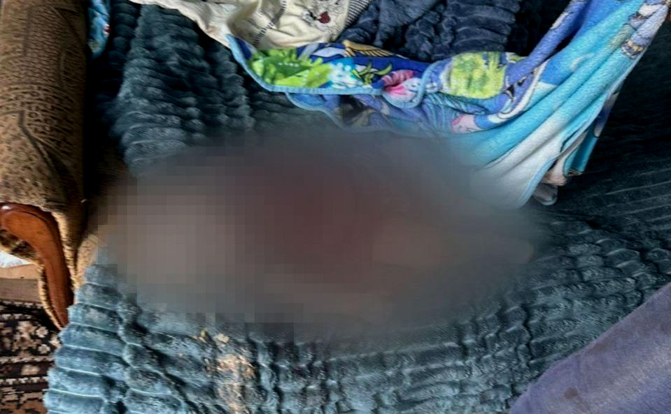 2229 image for slide