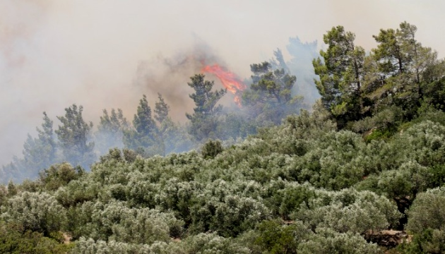 2594 image for slide