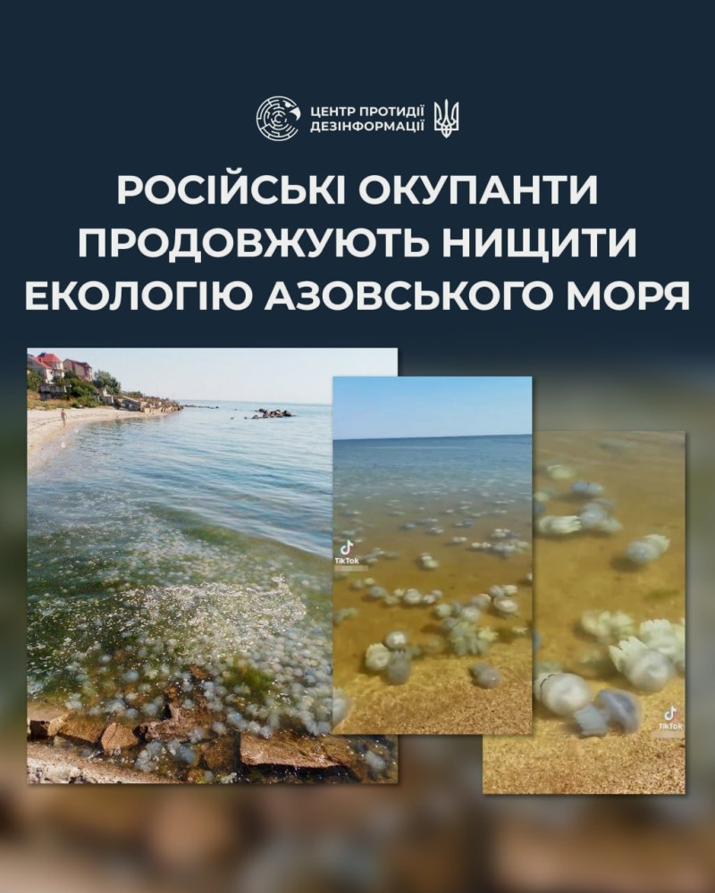 2966 image for slide