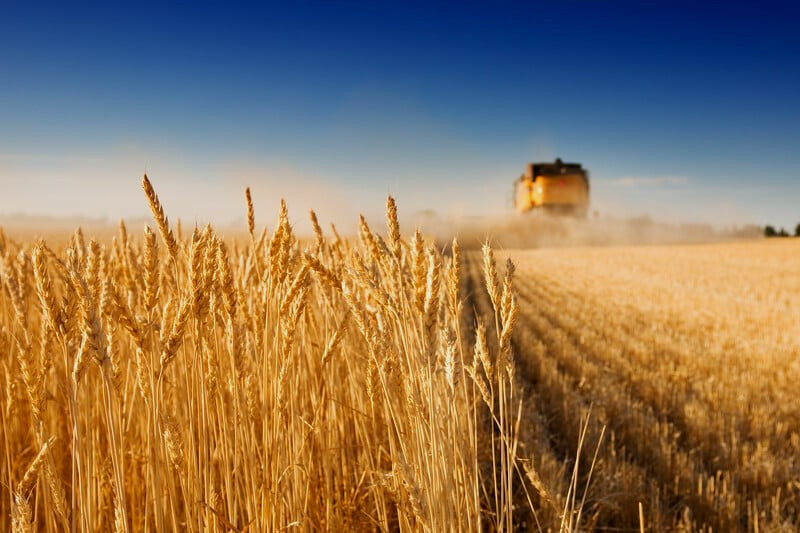 3112 image for slide