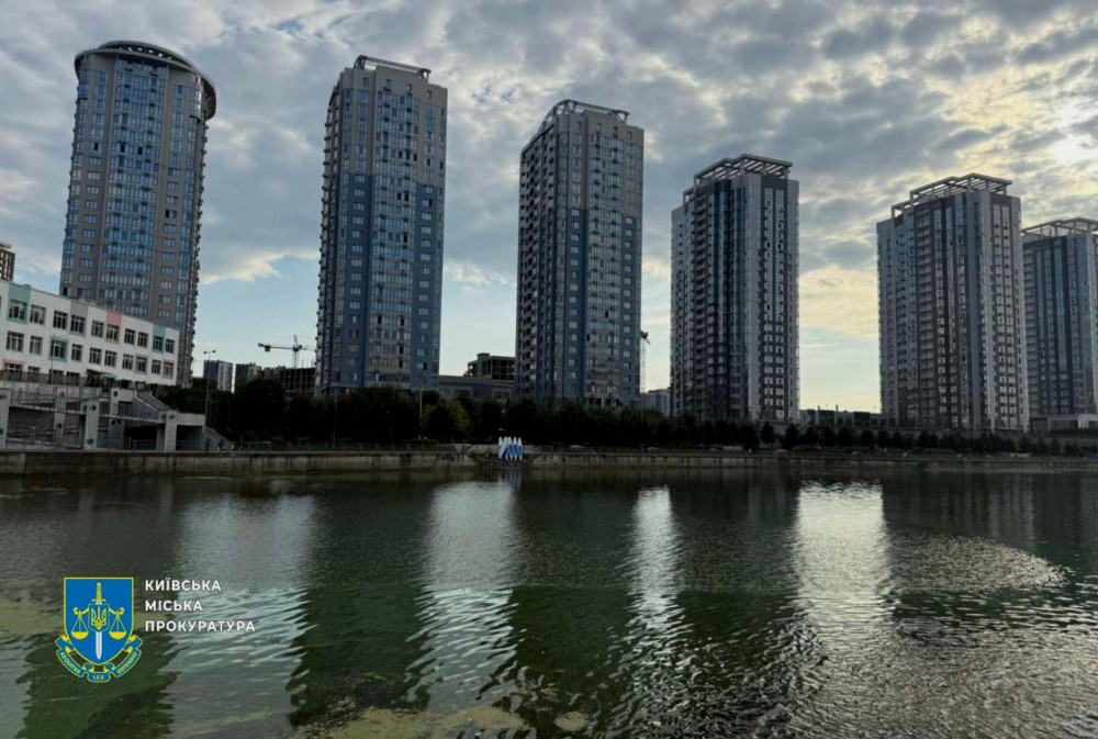 3369 image for slide