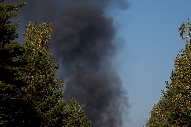 3932 image for slide