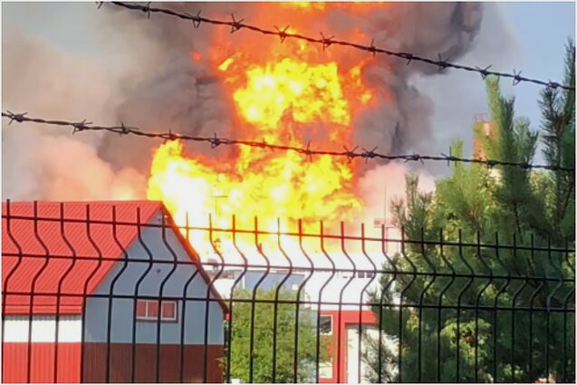 3933 image for slide