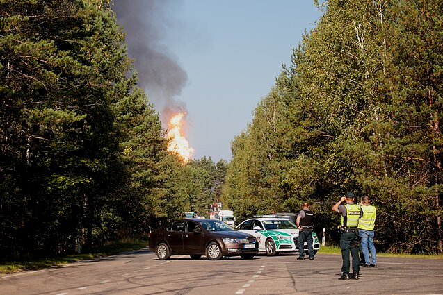 3935 image for slide