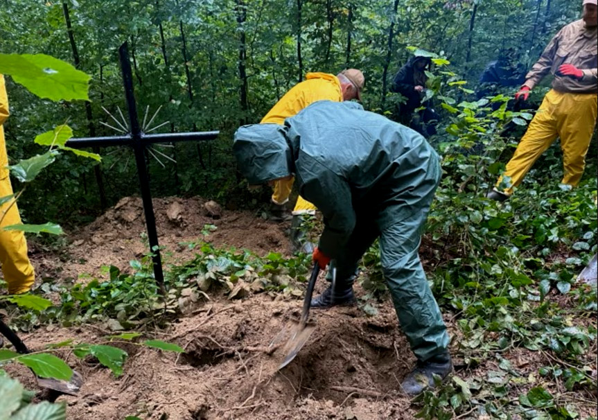 4465 image for slide