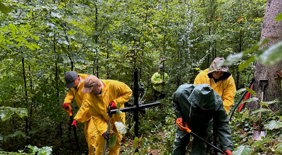 4466 image for slide