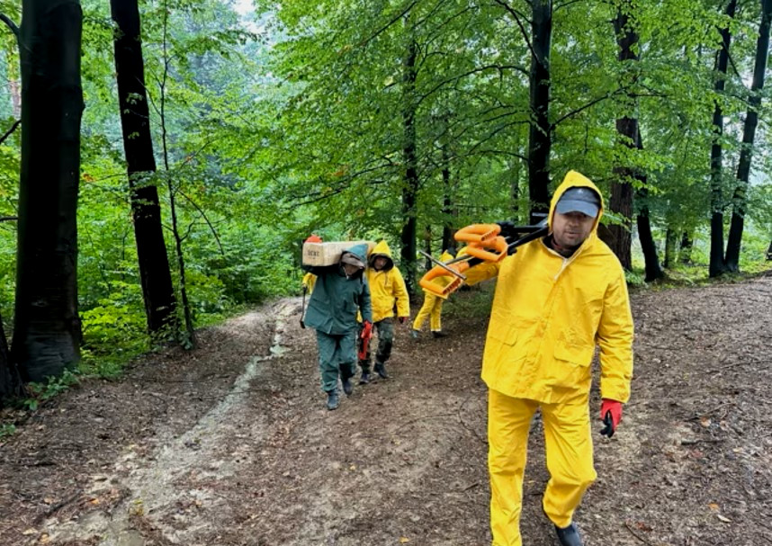 4467 image for slide