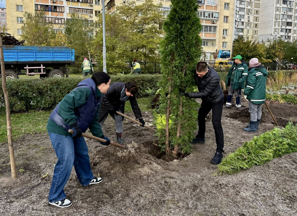 4781 image for slide