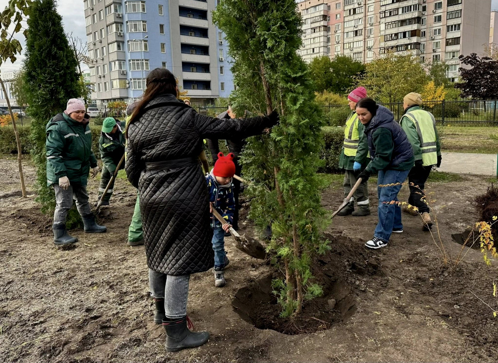 4782 image for slide